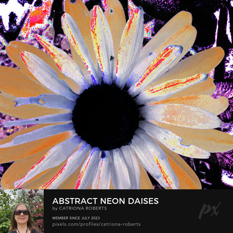 Digital image featuring the design itself