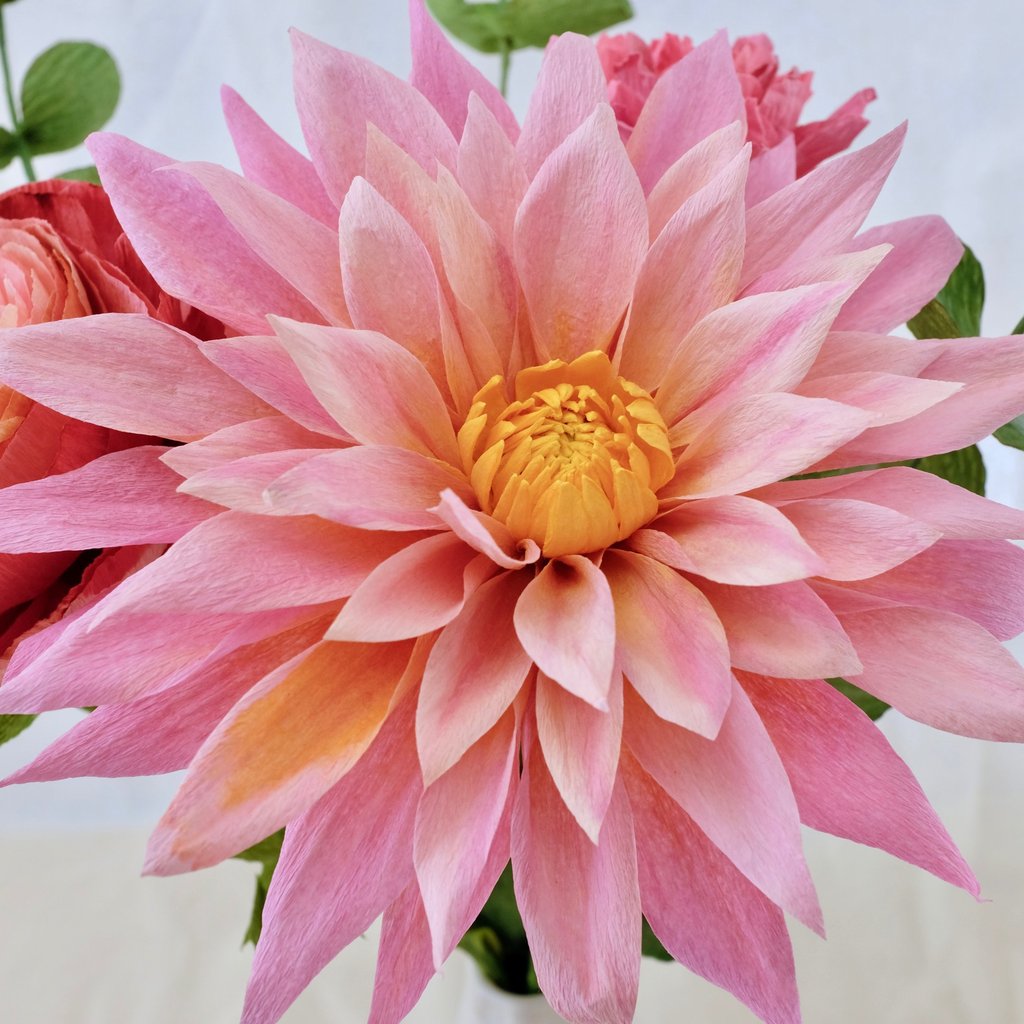 Fleur de dahlia rose dragé en papier crépon. 