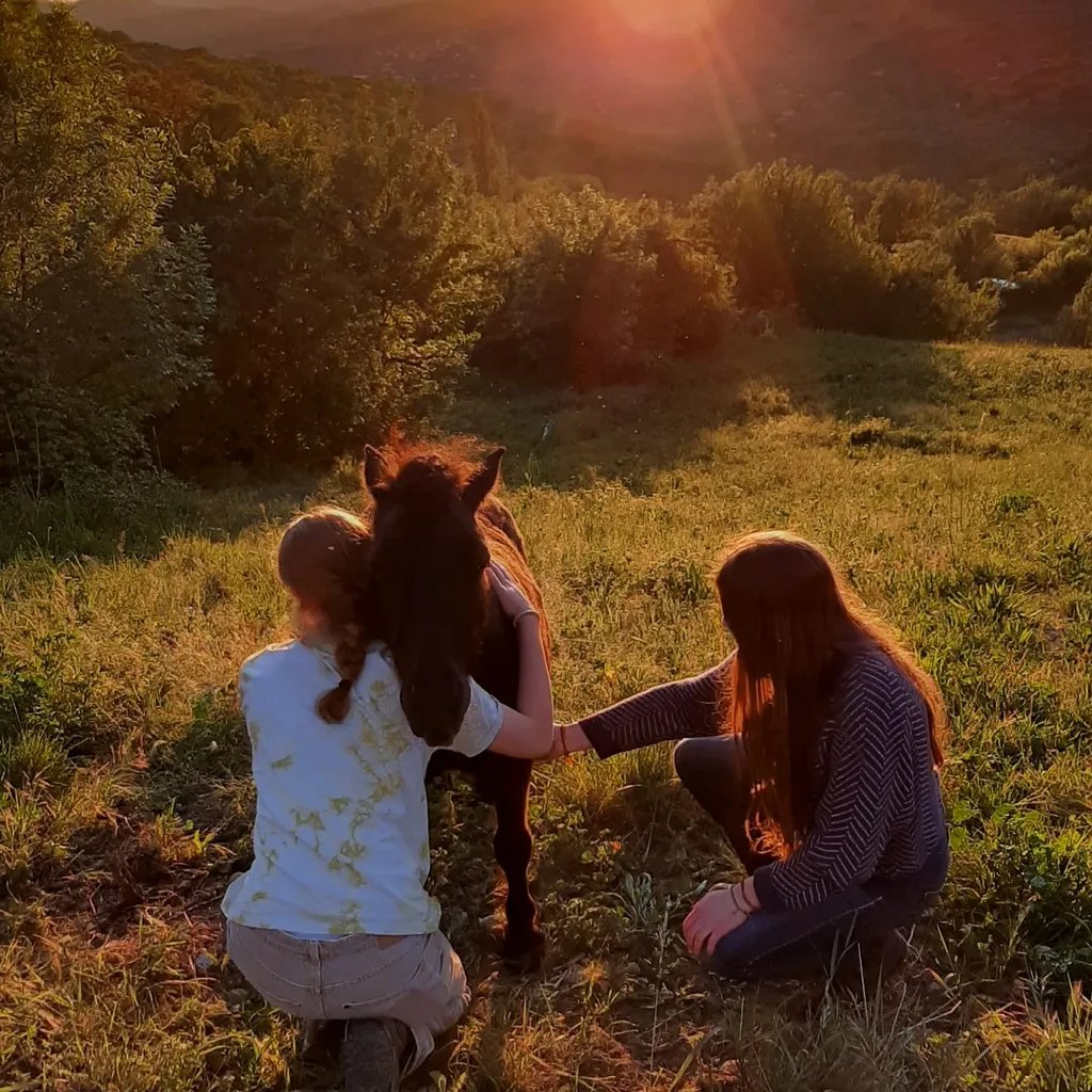 two women are sitting on a hill and hugging a horse at sunset