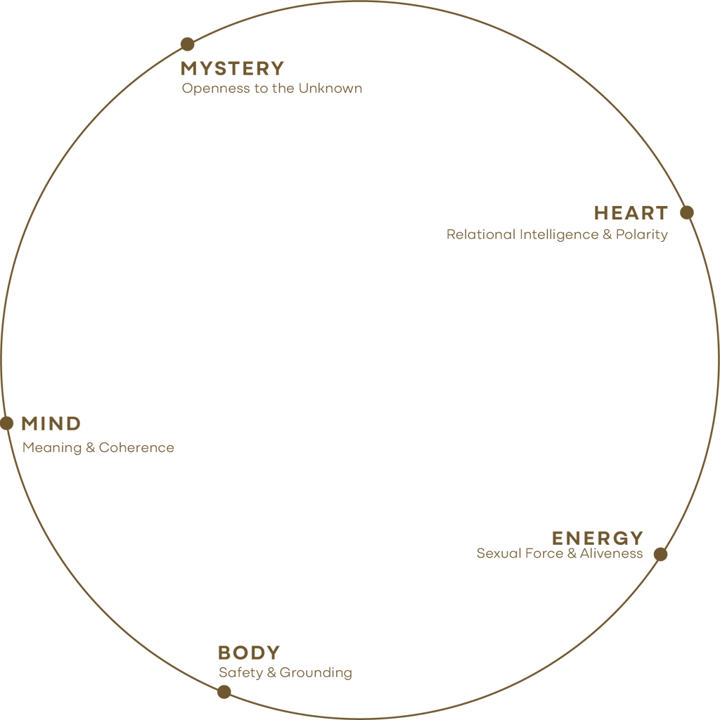5 dimensions of the work sacra pulse