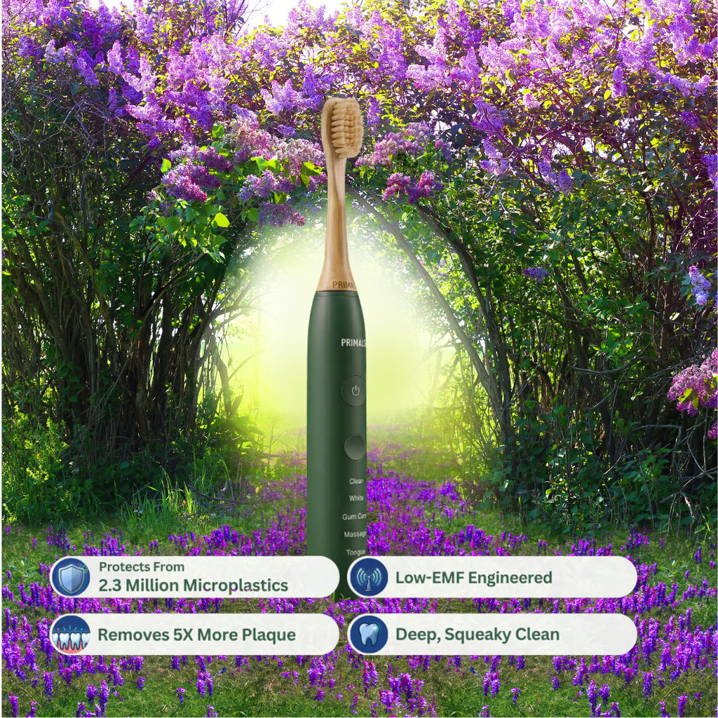 Primals Boar Bristle Electric Toothbrush