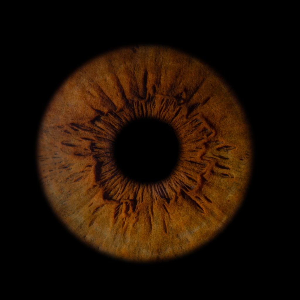 The Oculis Grafik Tasarım