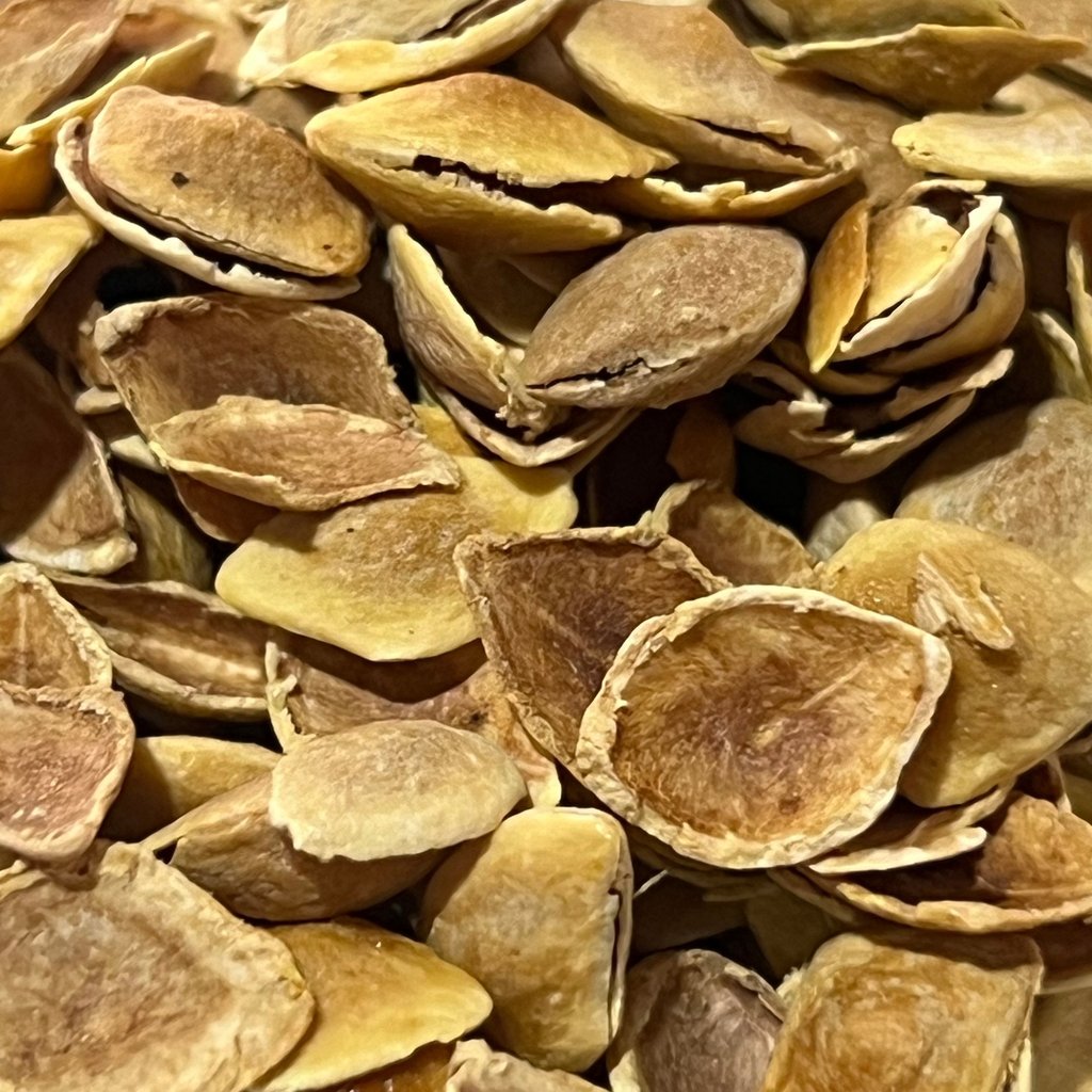 Tisana natural de mezquite