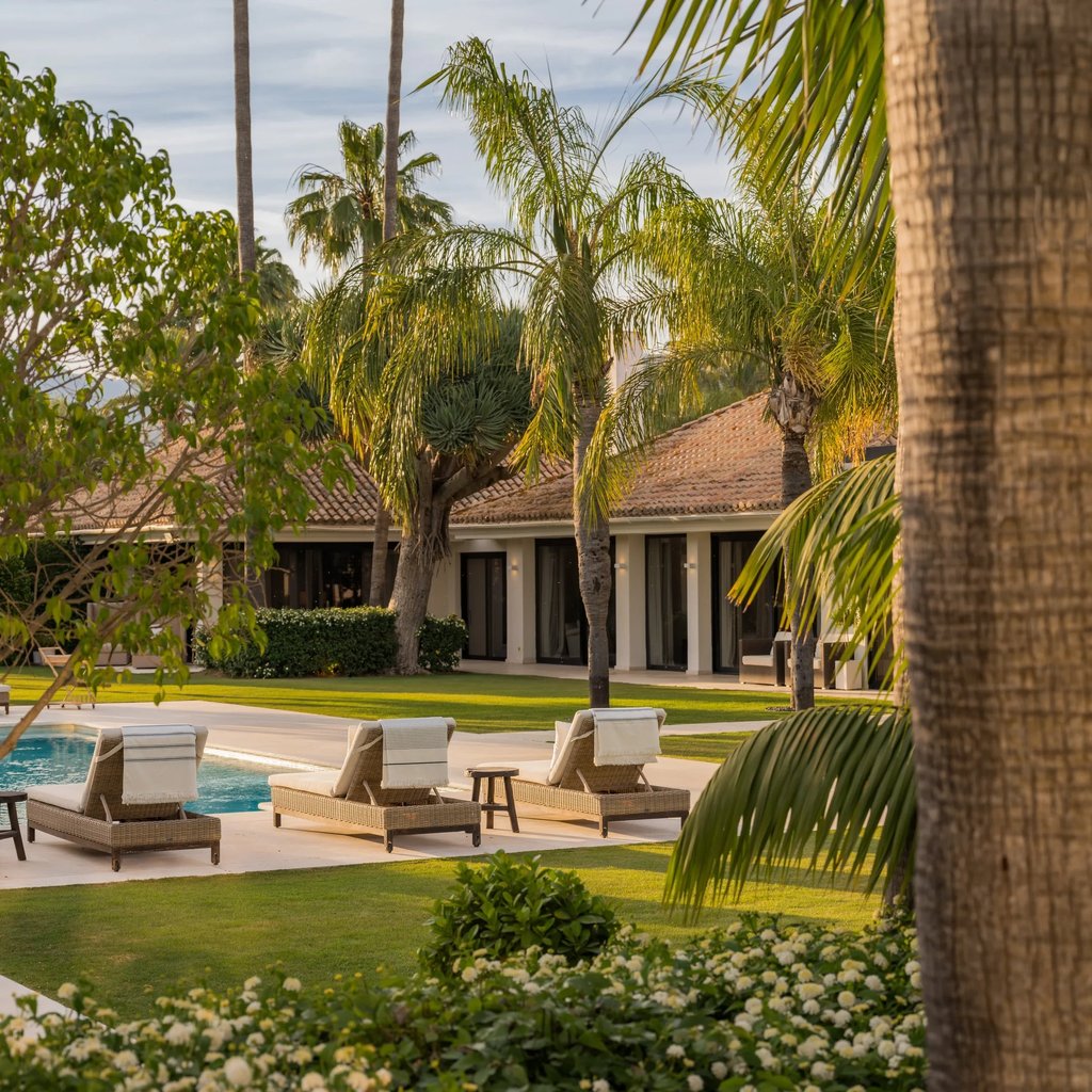 Pool terrace framed by palm trees and greenery
