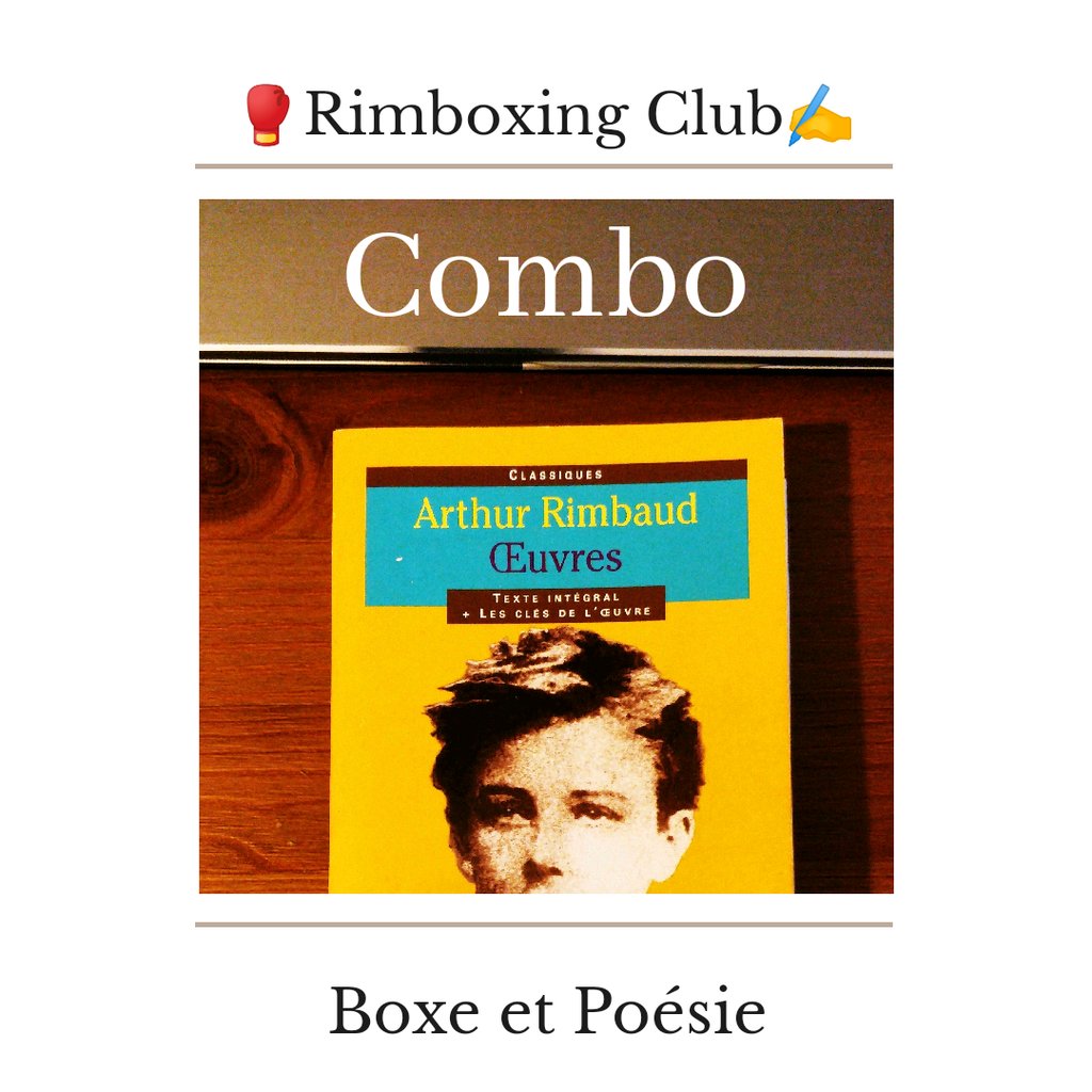 Transformer la littérature en boxe et en kata d'arts martiaux