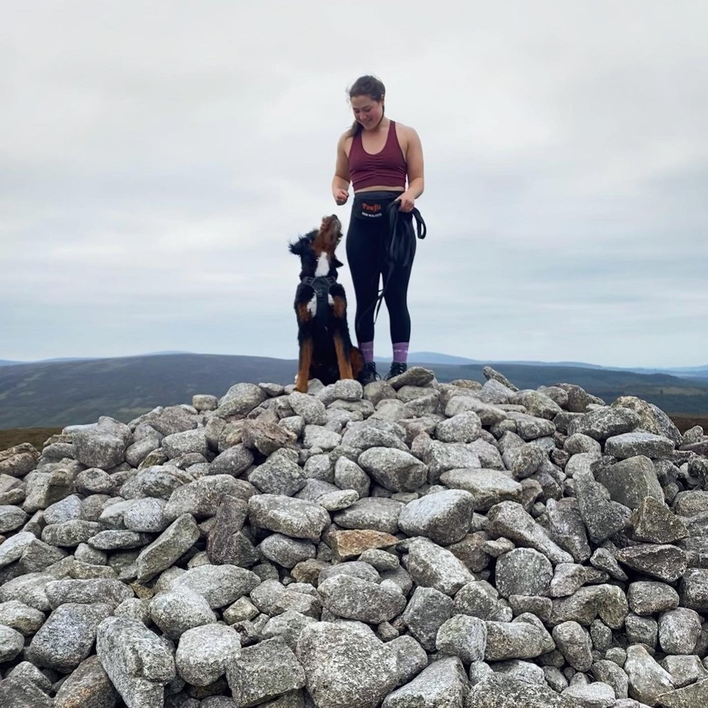 Murphy the Bernedoodle out for a mountain walk while pet sitting him