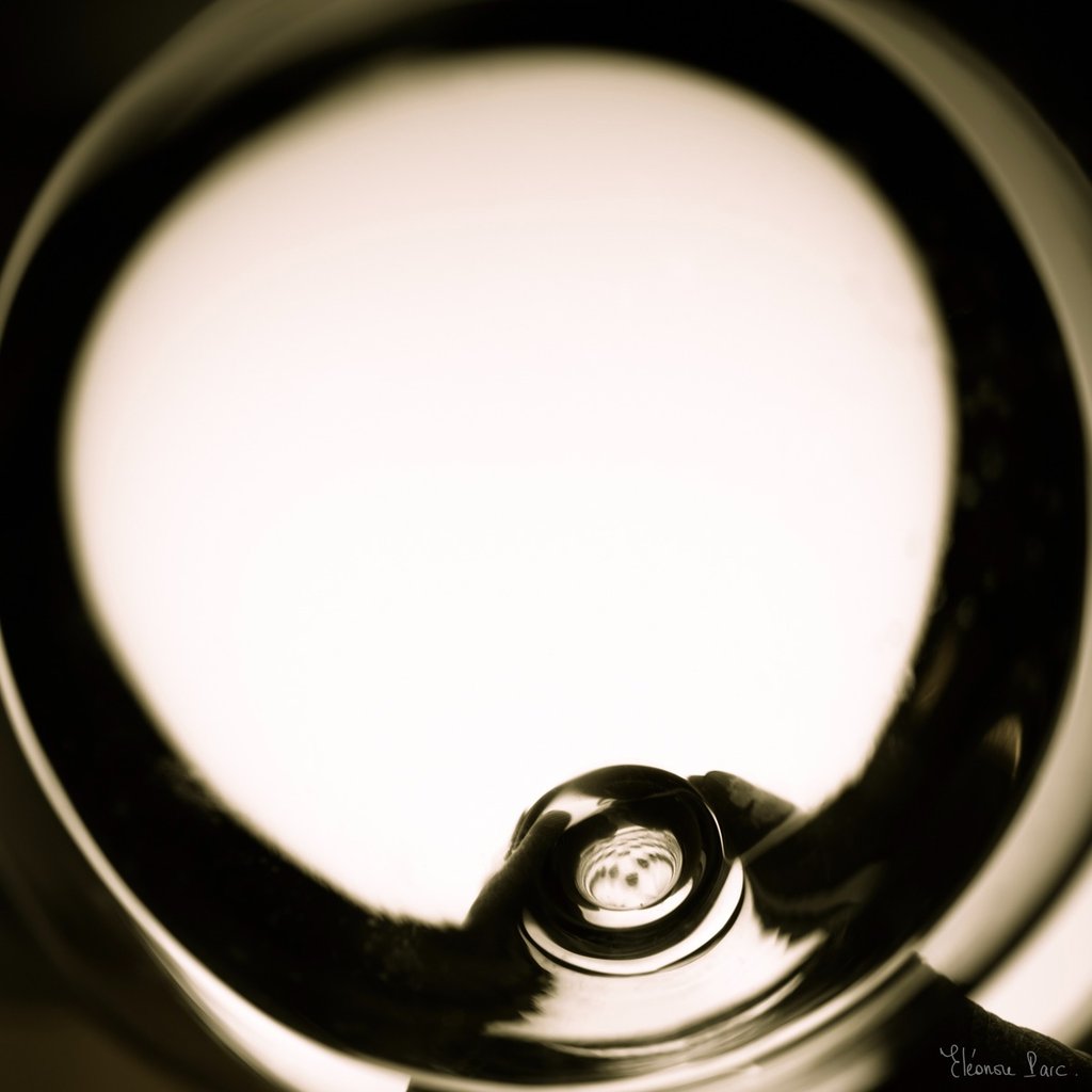 Verre de vin blanc en transparence rétroéclairé