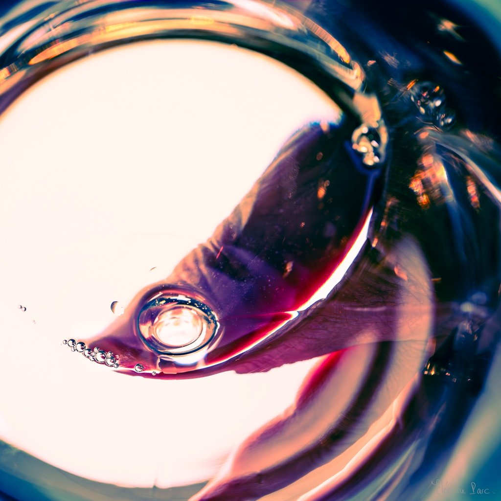 Bulles et éclats lumineux dans un verre de vin.