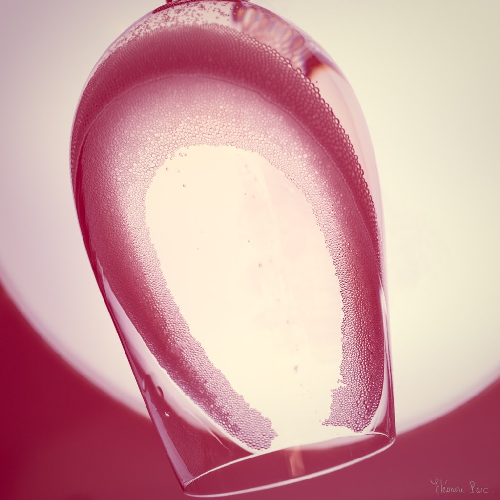 Le Vin en Rose – Couronne de bulles sur un verre de vin