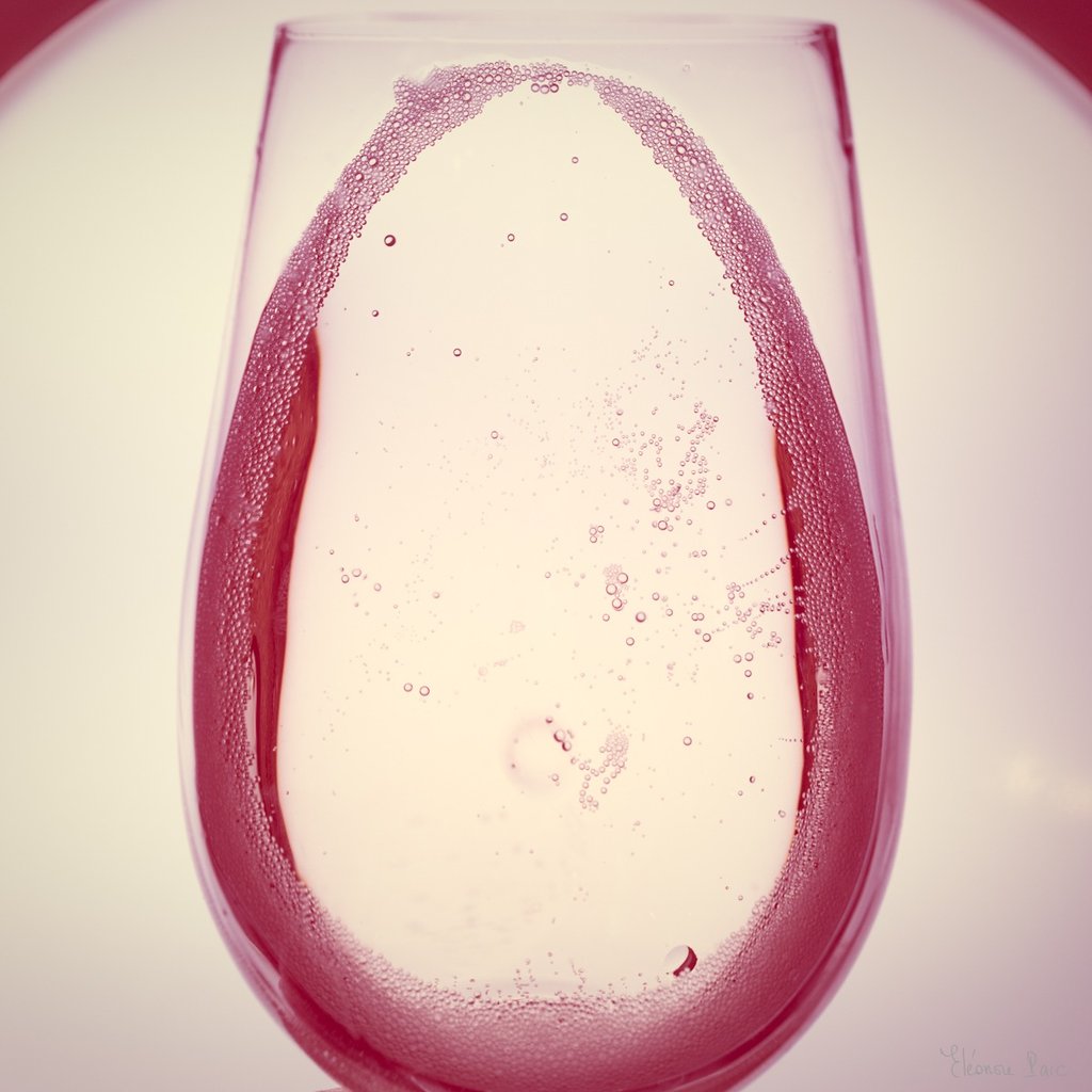 Le Vin en Rose – Silhouette élégante d’un verre de vin