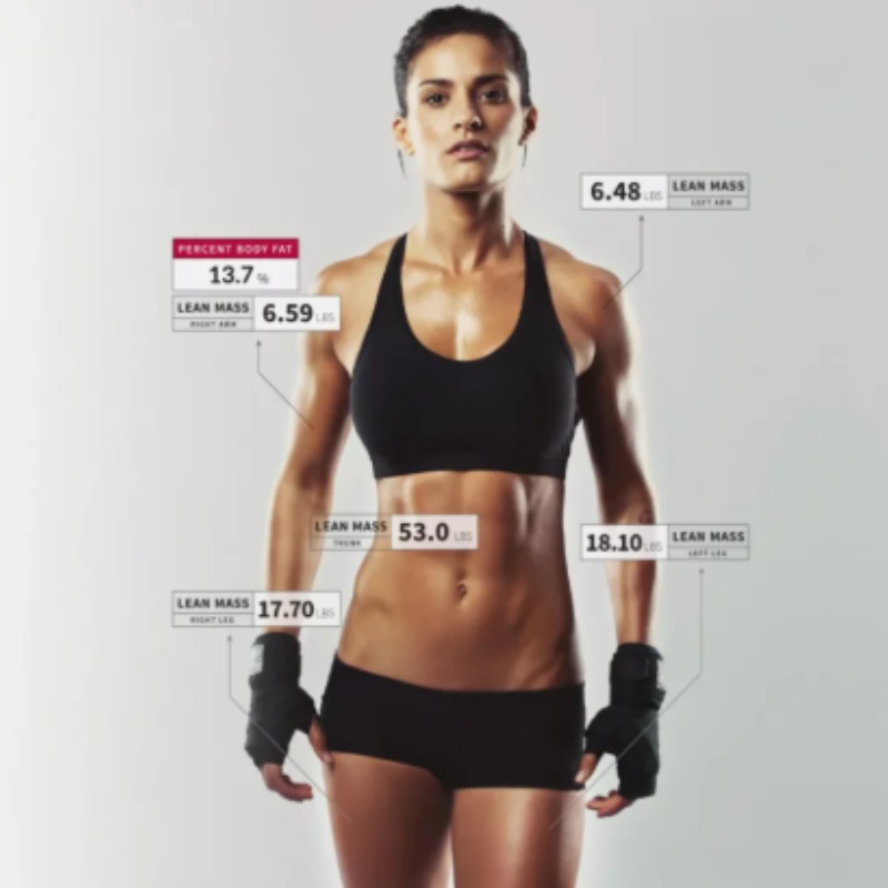 inbody scan maroubra 6x training