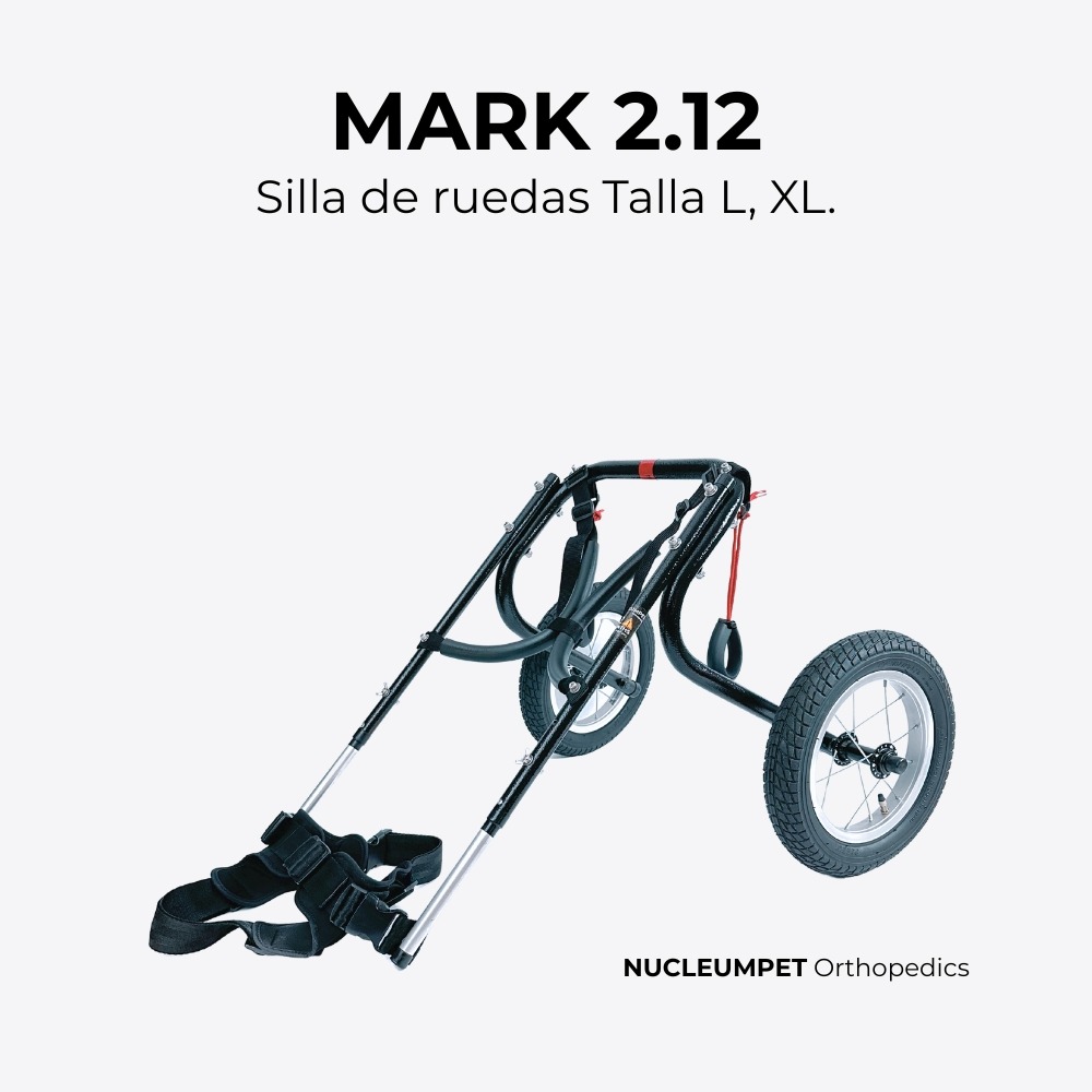 Silla de ruedas para perros fabricada por Nucleumpet en Colombia, ideal para mejorar la movilidad de