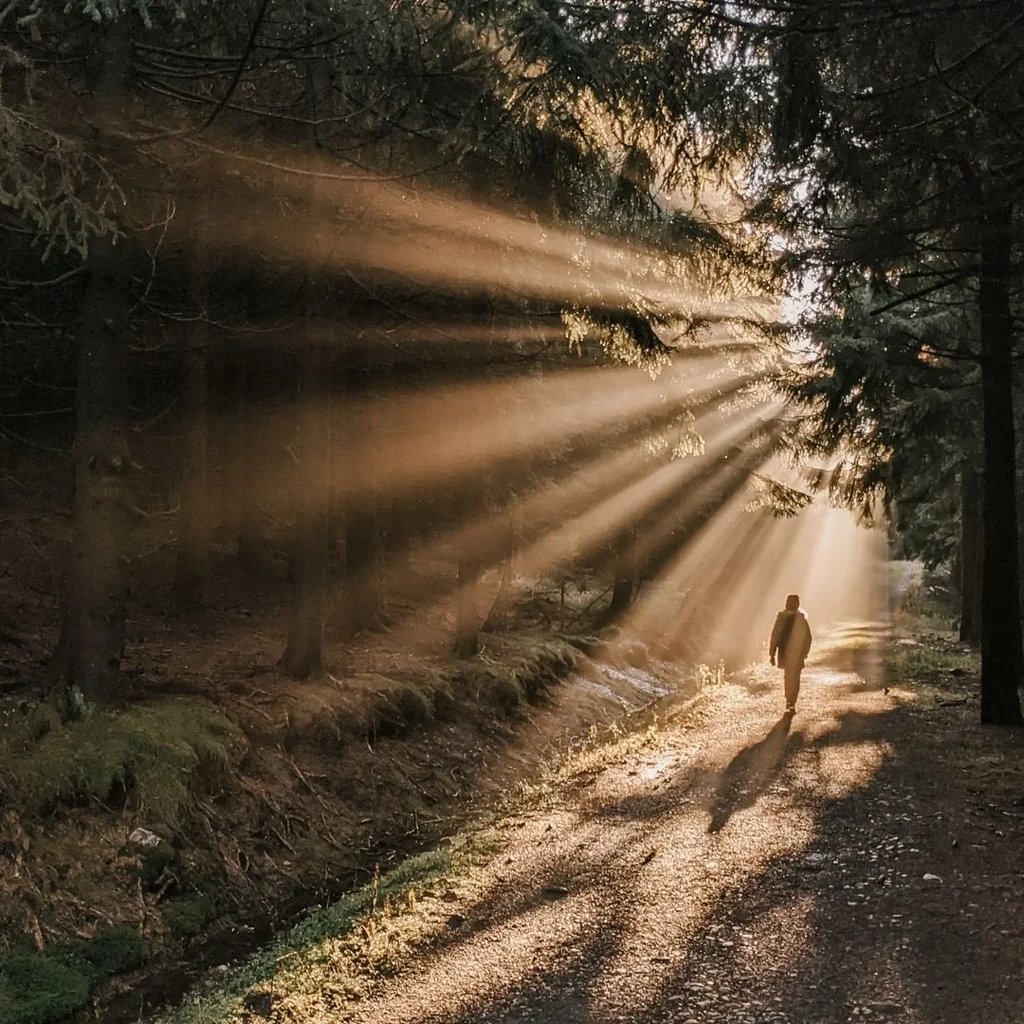 Séance de sophrologie pour renforcer la motivation et la confiance en soi dans un parcours de sevrage