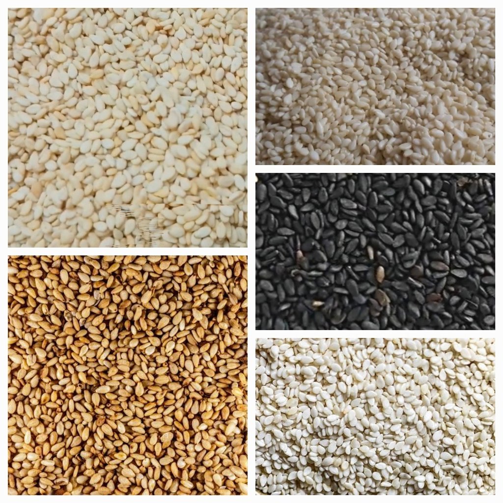 Biggest Sesame Seeds Exporters in Pakistan