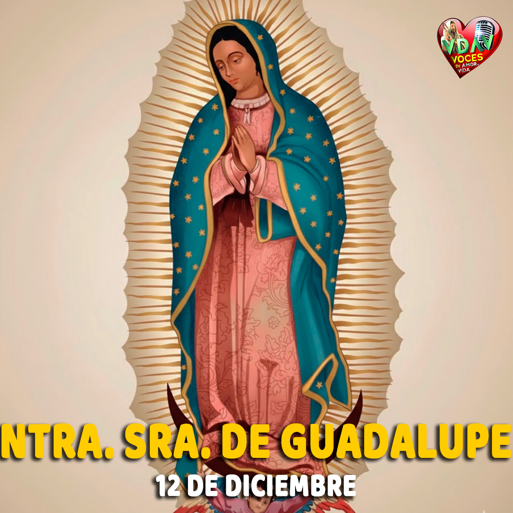 La virgen de guadalupe 12 de diciembre
