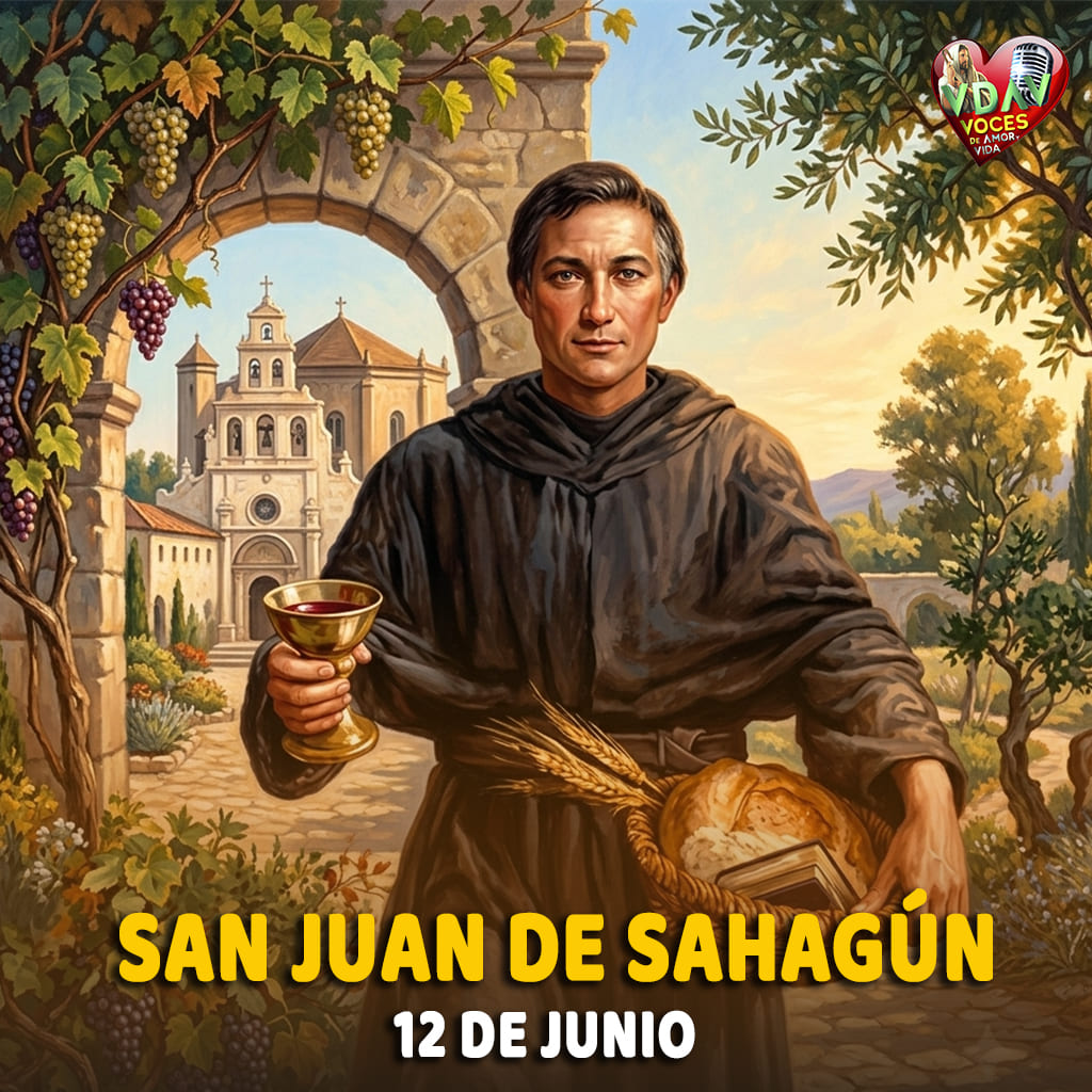 Santo de hoy 12 de junio. San Juan de Sahagún, Predicador