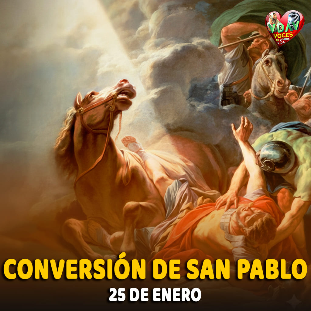 La conversión de San Pablo  San Pablo, apóstol de las naciones