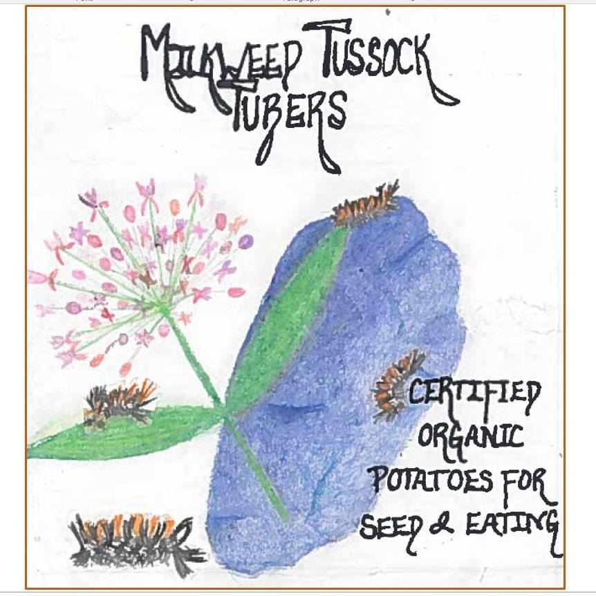 Milkweed Tussock Tubers hand drawn logo of a potato and milkweed plant. 