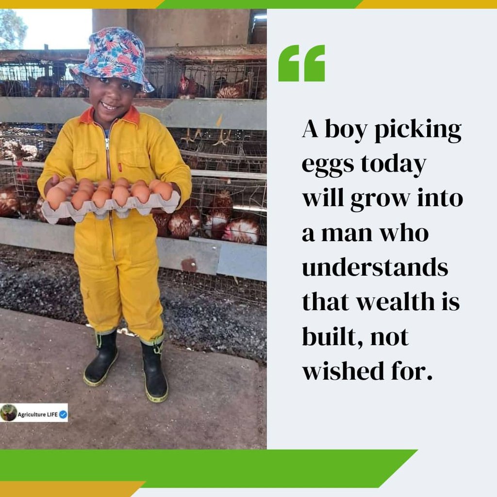 A boy holding a crate of eggs