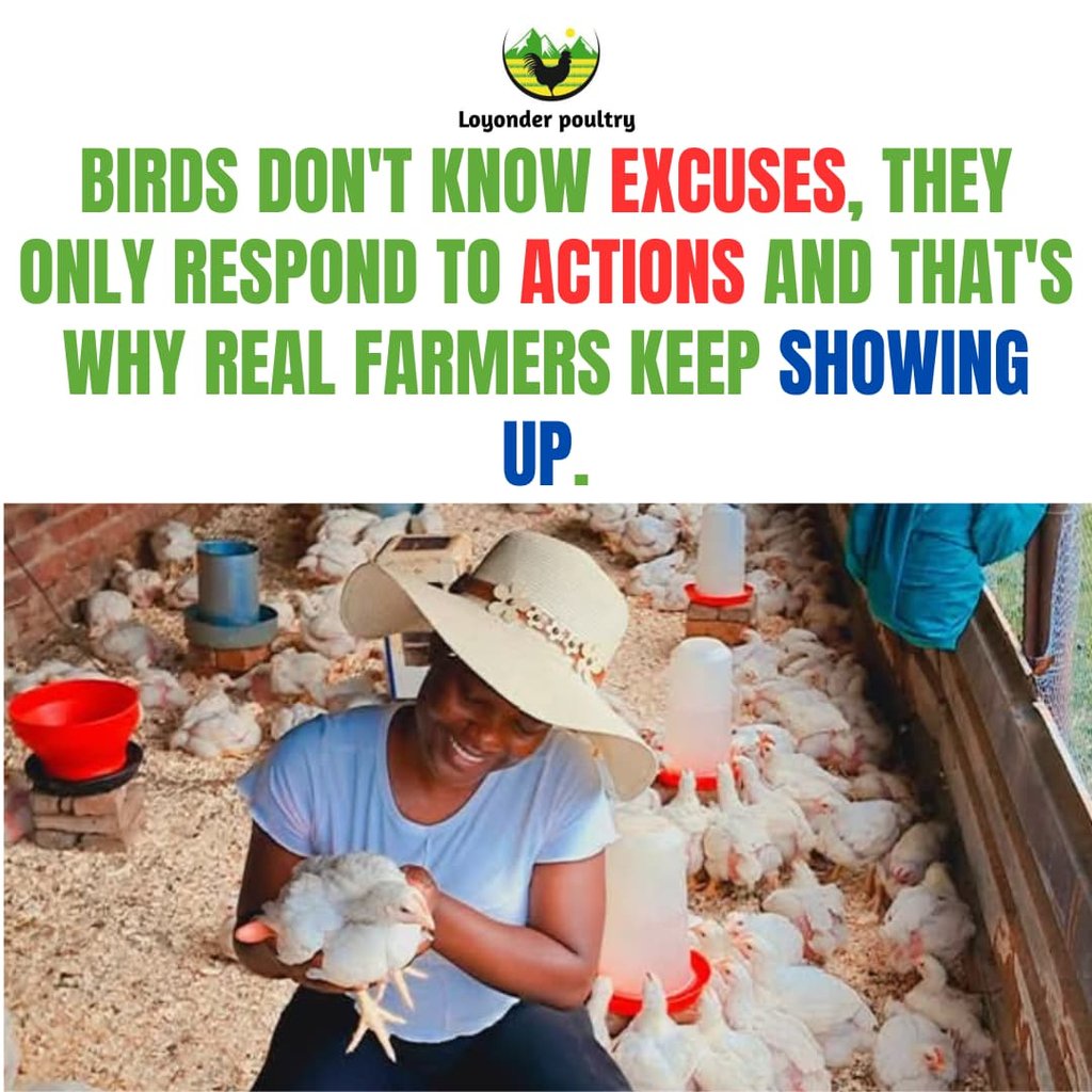 Poultry Farmer