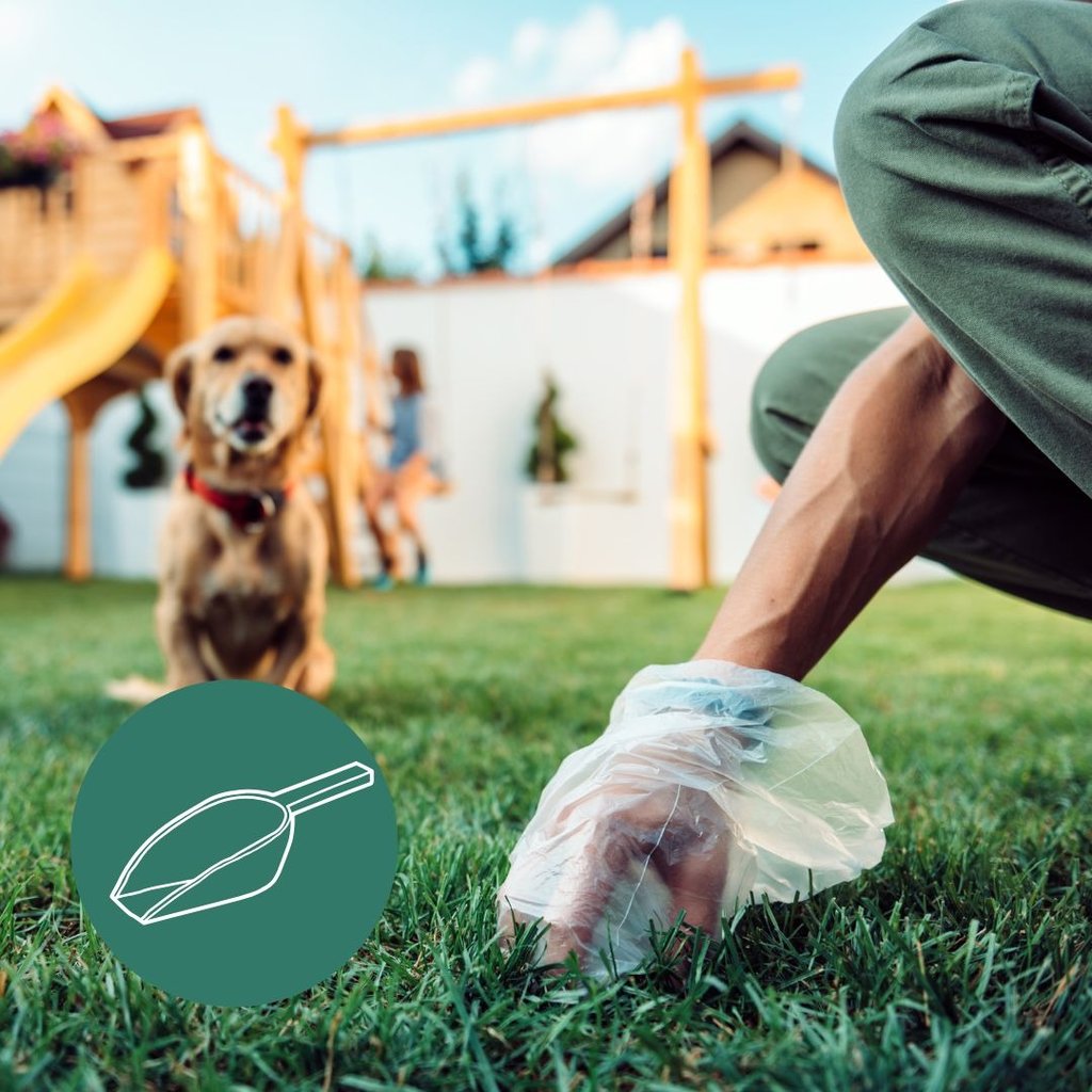 a dog is standing on the grass in front of a dog