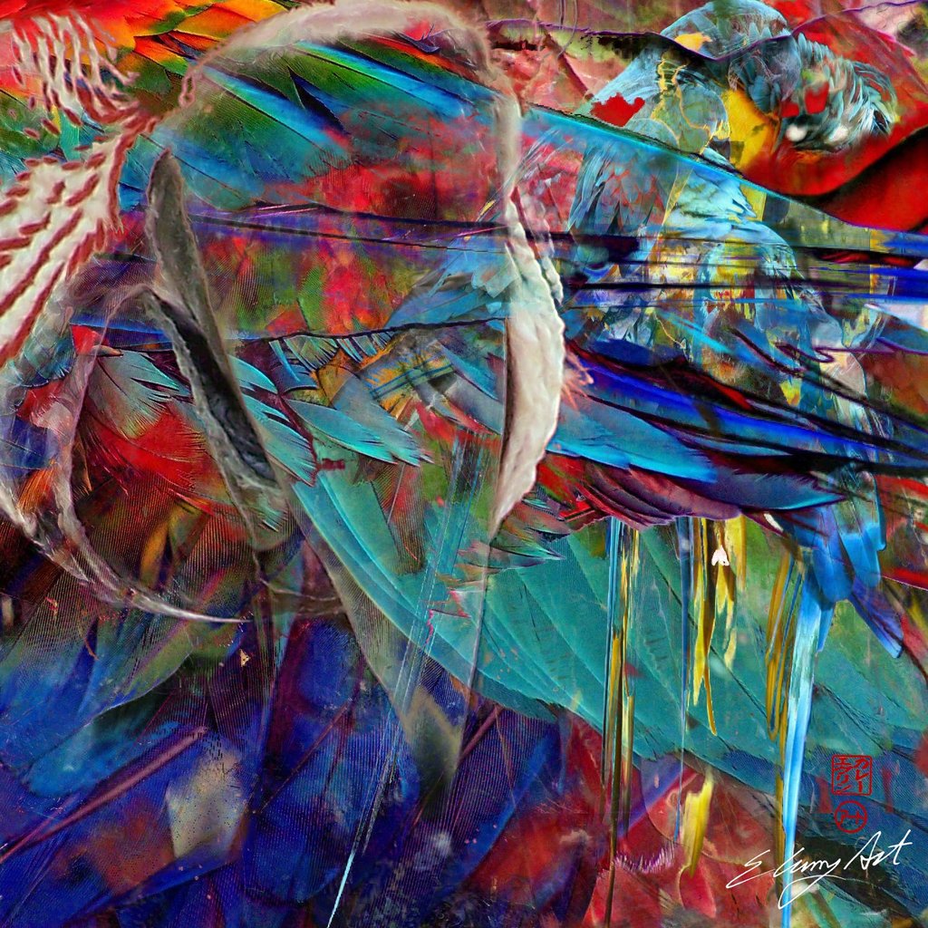 digital photo montage print, collage photography, parrots, feathers, birds, green, blue, red, turquoise