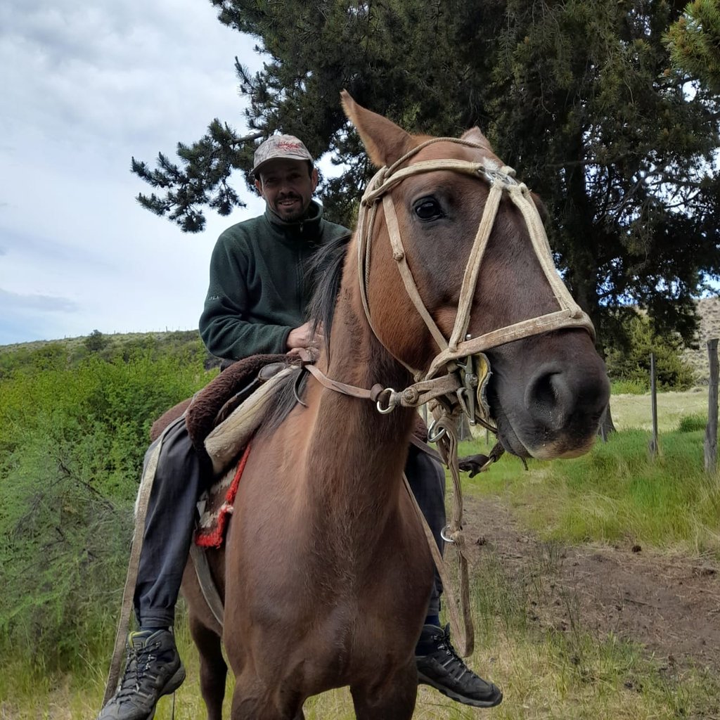 A person on horseback in a wooded area.