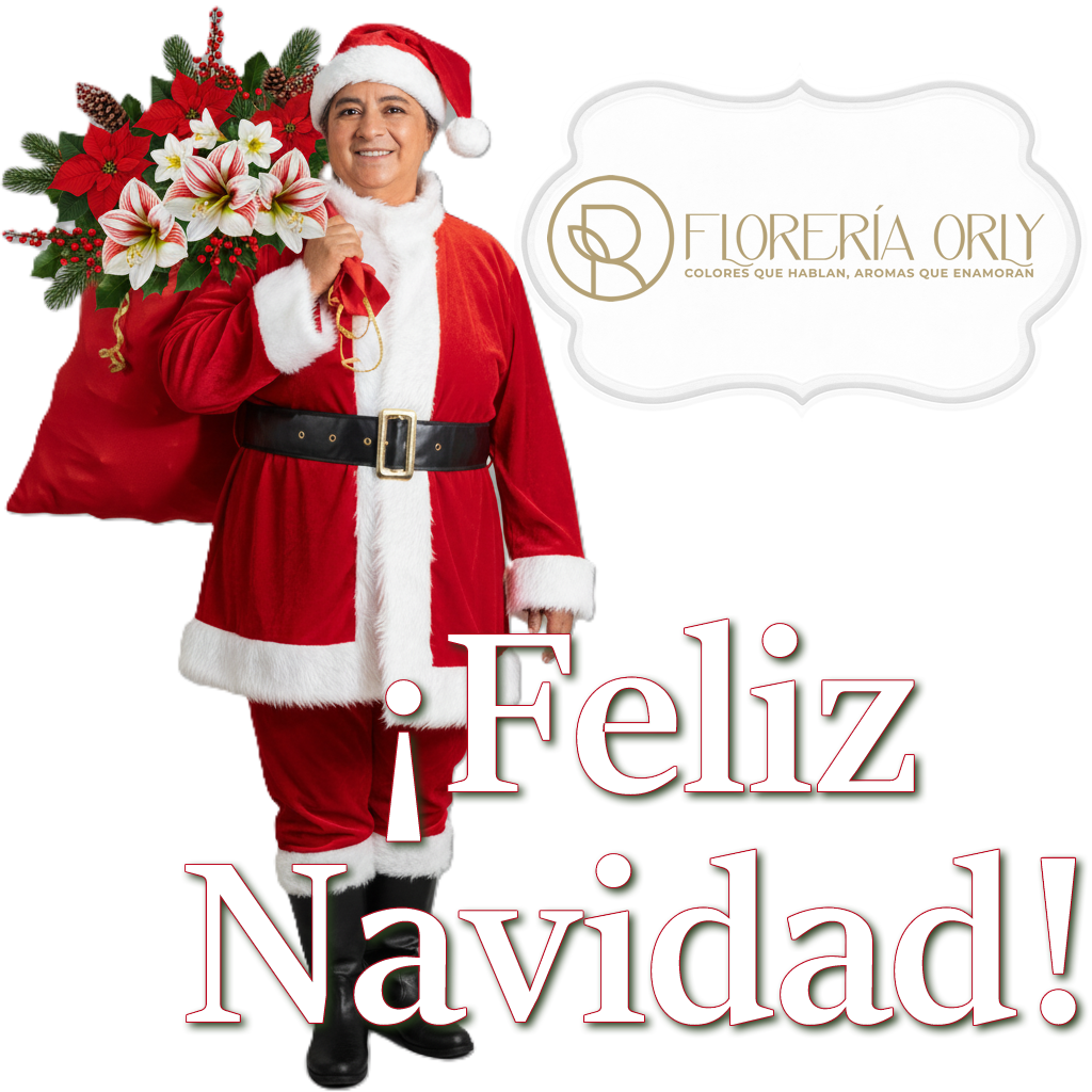 arreglos navideños en pereira