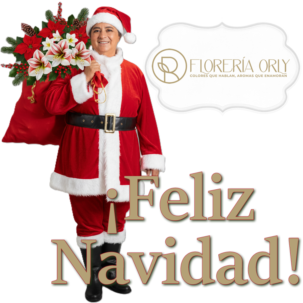 detalles navideños pereira