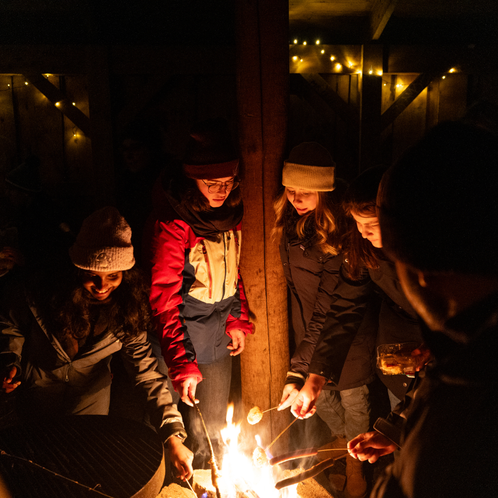 a group of people standing around a bonfire