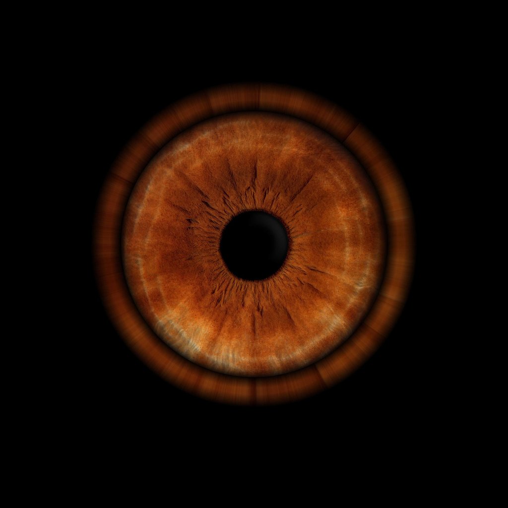 Iris Yeux Marron