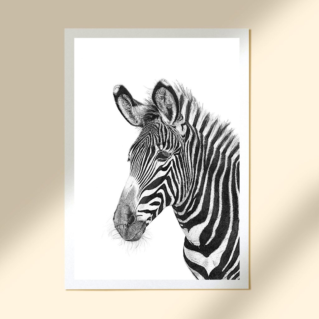 Wildlife Art - Grévy's Zebra