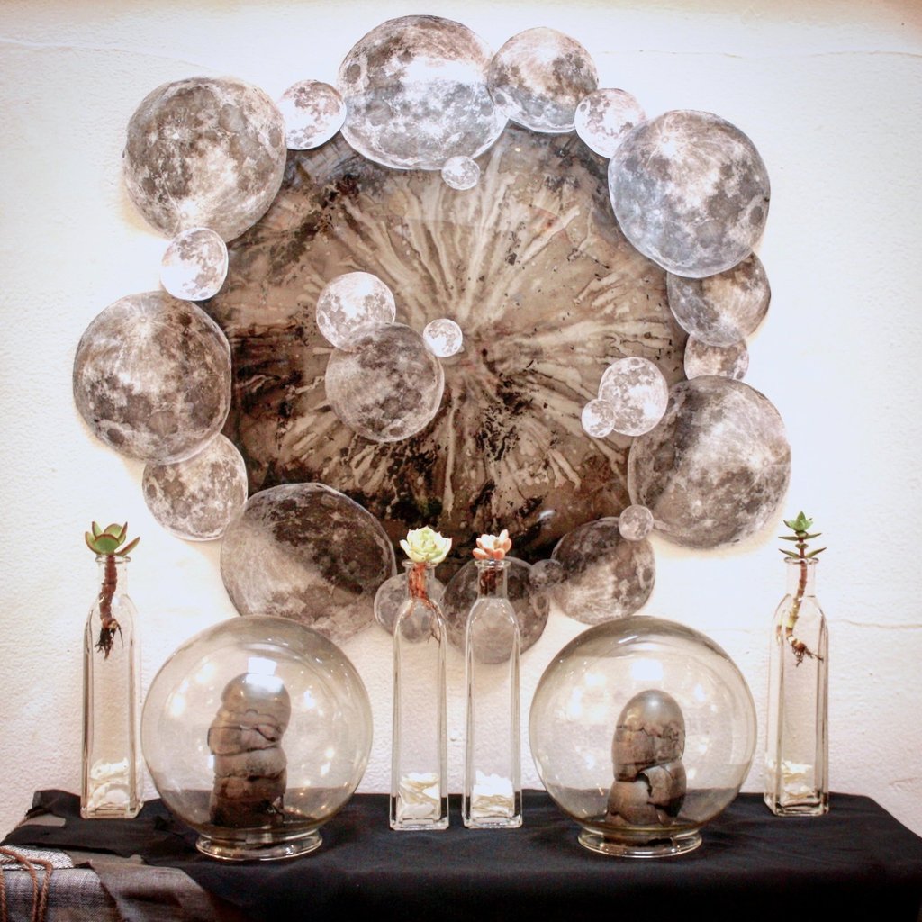 an altar with full moon elements as we some plants on a shelf
