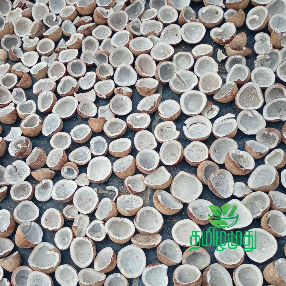 Solar dried copra for Tamilamuthu Pollachi coconut oil