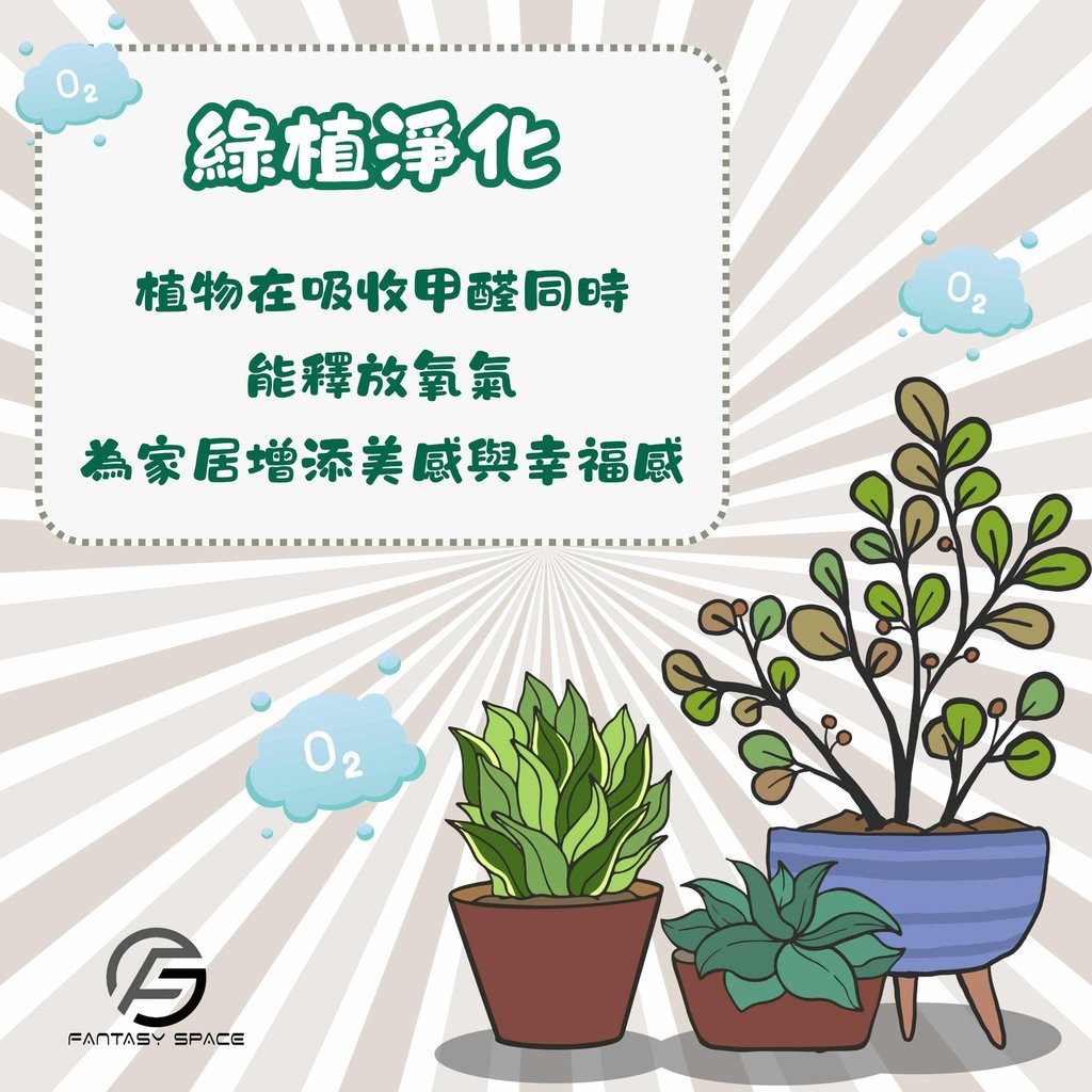 綠植淨化空氣建議-吸收甲醛並釋放氧氣自然方法-幻想空間