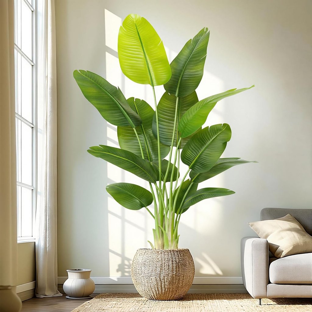 A large Bird of Paradise indoor plant in a woven basket pot standing next to a grey sofa in a sunlit room.