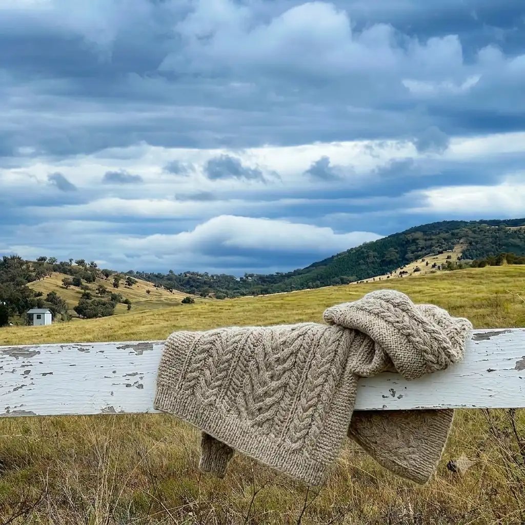 Paddock and cloudy sky with a sweater draped over a fence in the foreground