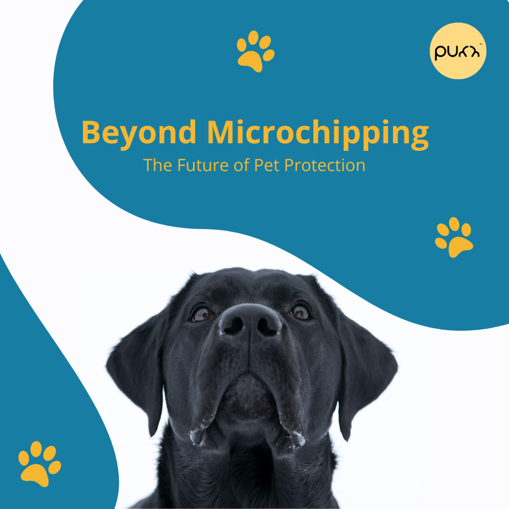 Beyond Pet Microchipping - The Future of Pet Protection with Purr