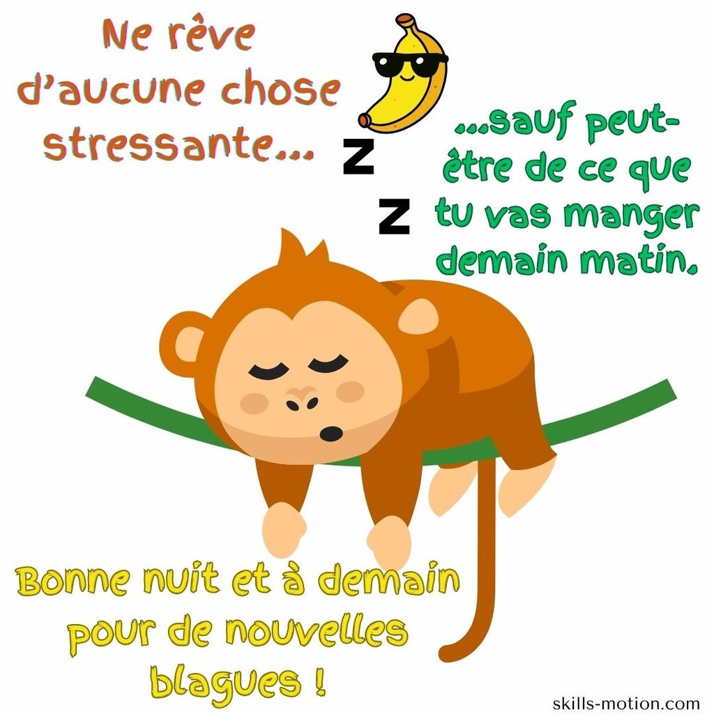 image bonne nuit a demain humour animaux