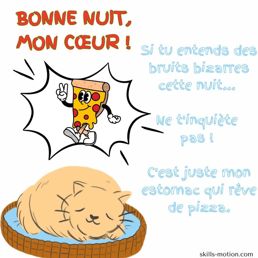 image bonne nuit humour chat