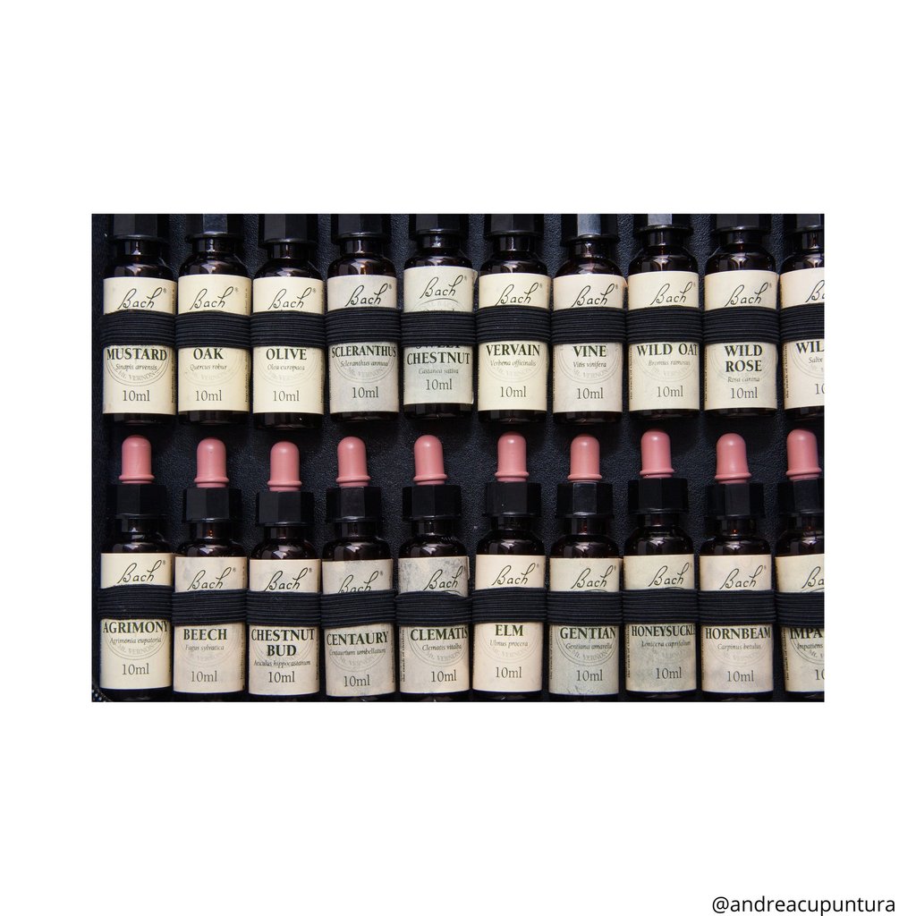 florais de bach, emoções, raiva, tristeza, medo, ansiedade, indecisão