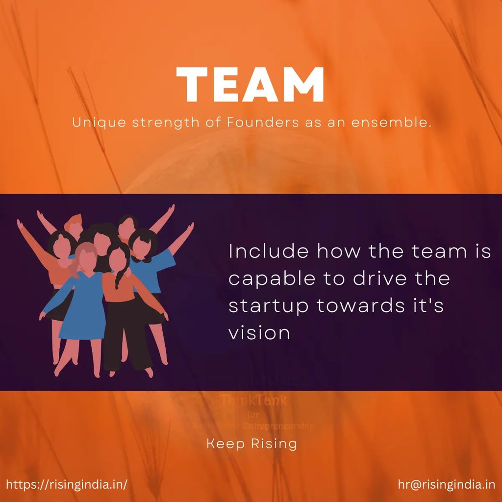 Importance of including Founders and having cofounder, mentor, advisor or investor on Cap Table