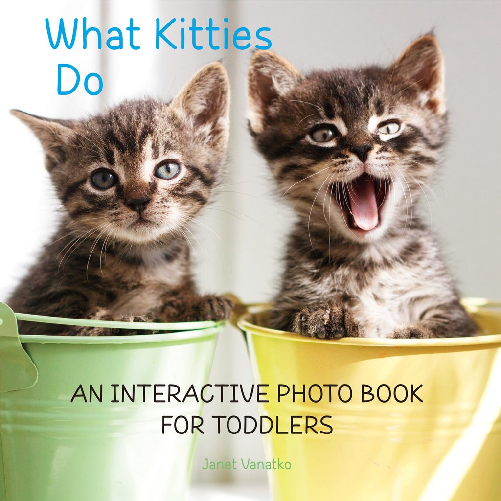 kittens sitting in buckets