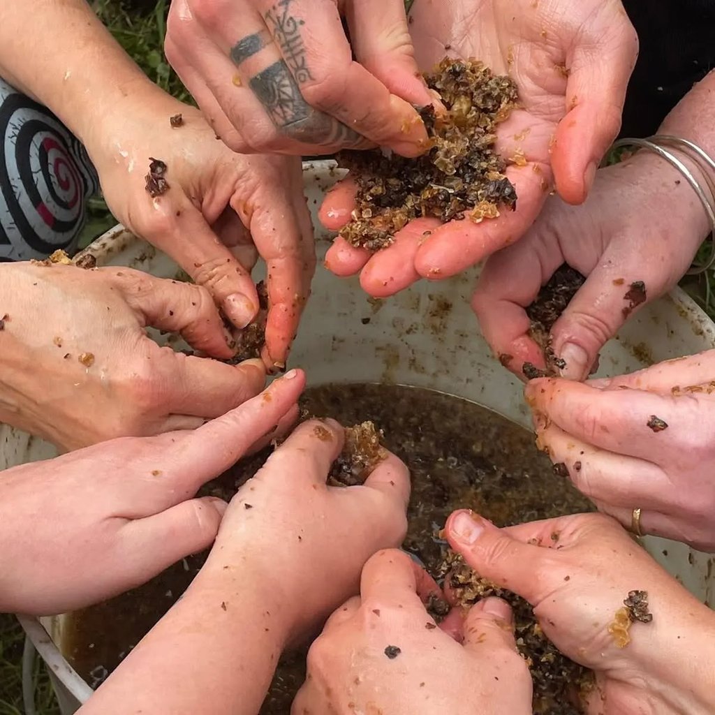 a circle of people's hands over a bucket of liquid preparing honeycomb for a herbal remedy