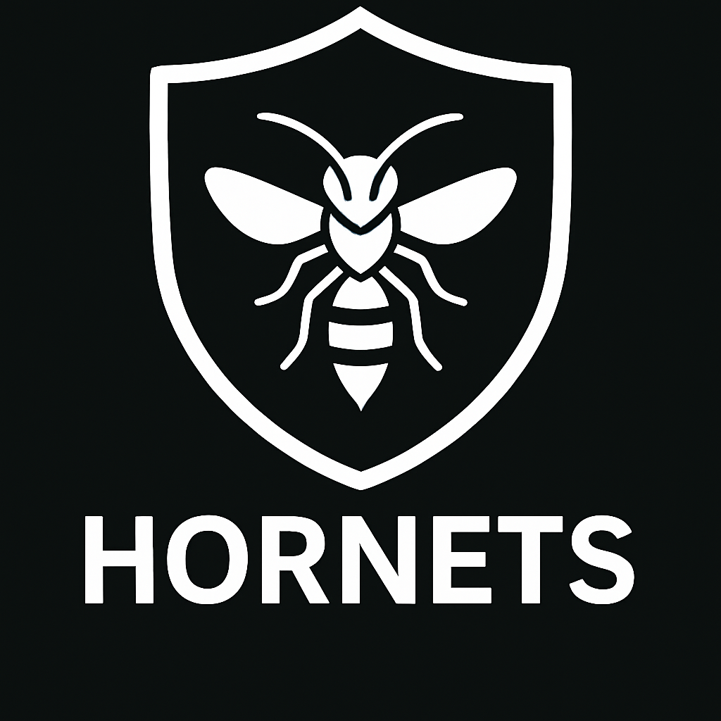 hornet icon