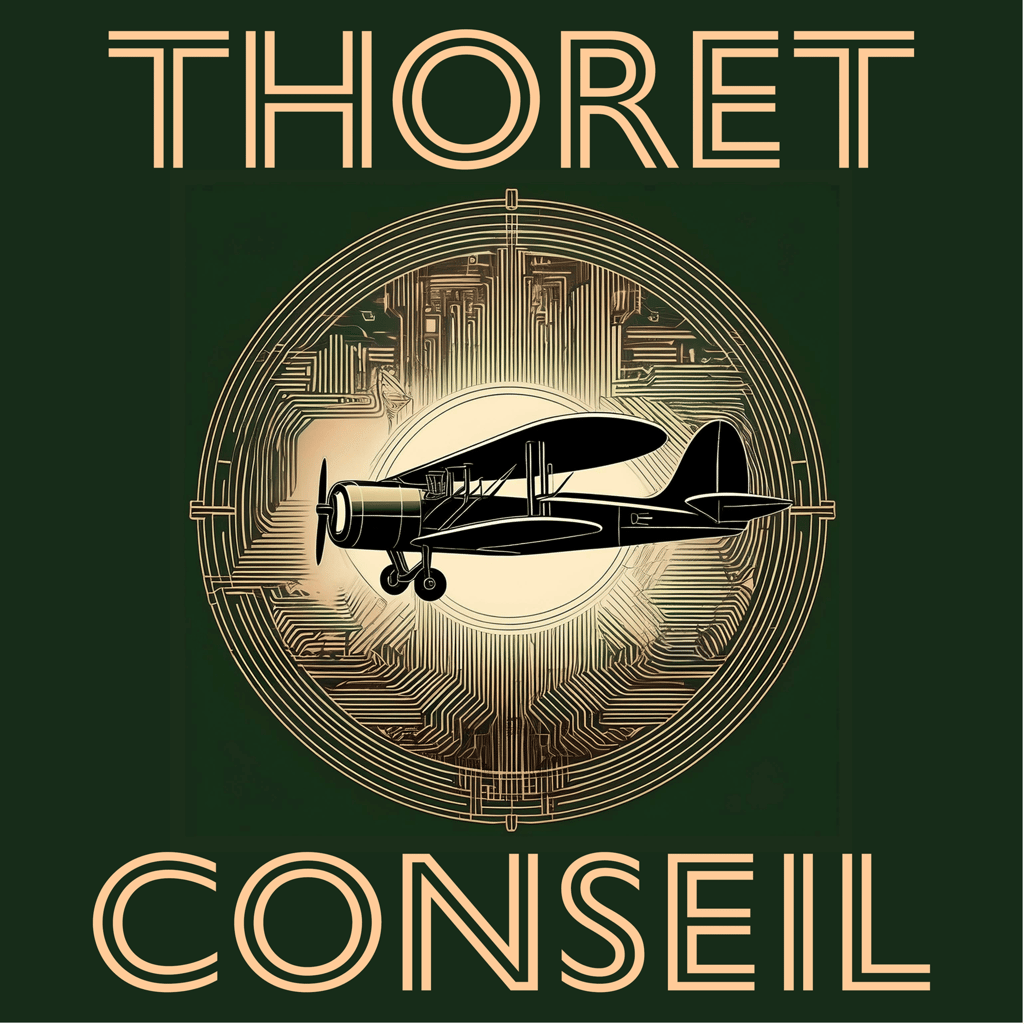 Avion de Thoret Conseil pour Naviguer les Tempêtes du Numérique et du Cyberespace