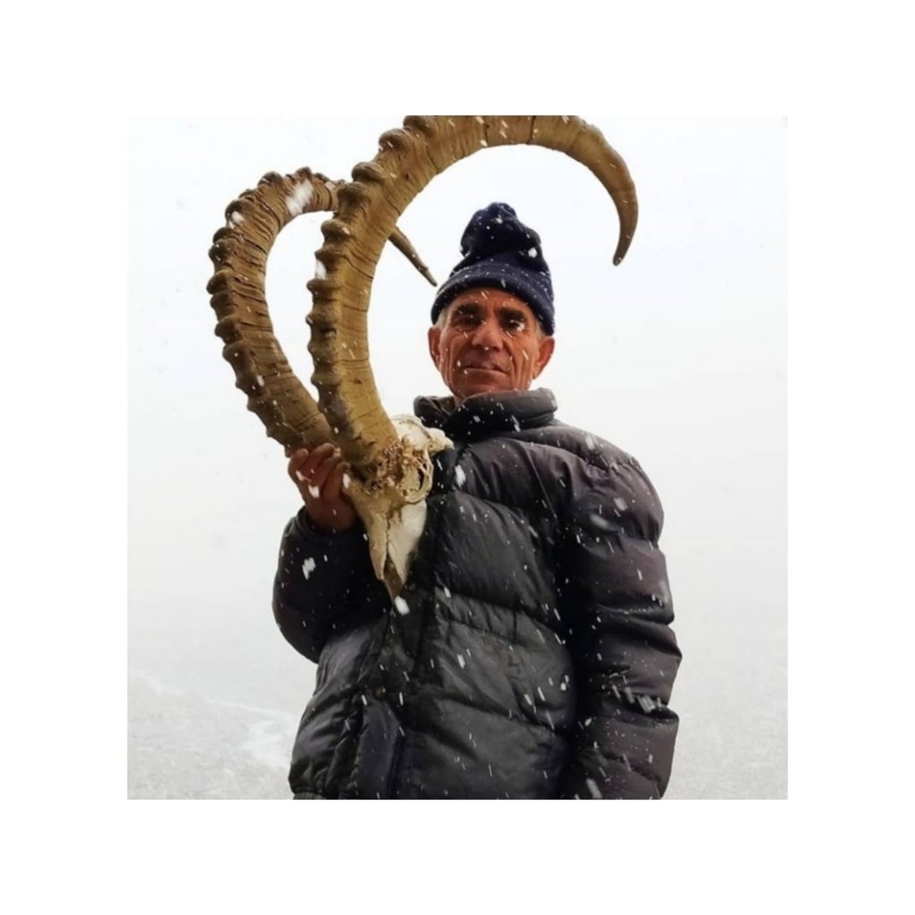 Sifat Shah with ibex horn ibex hunting