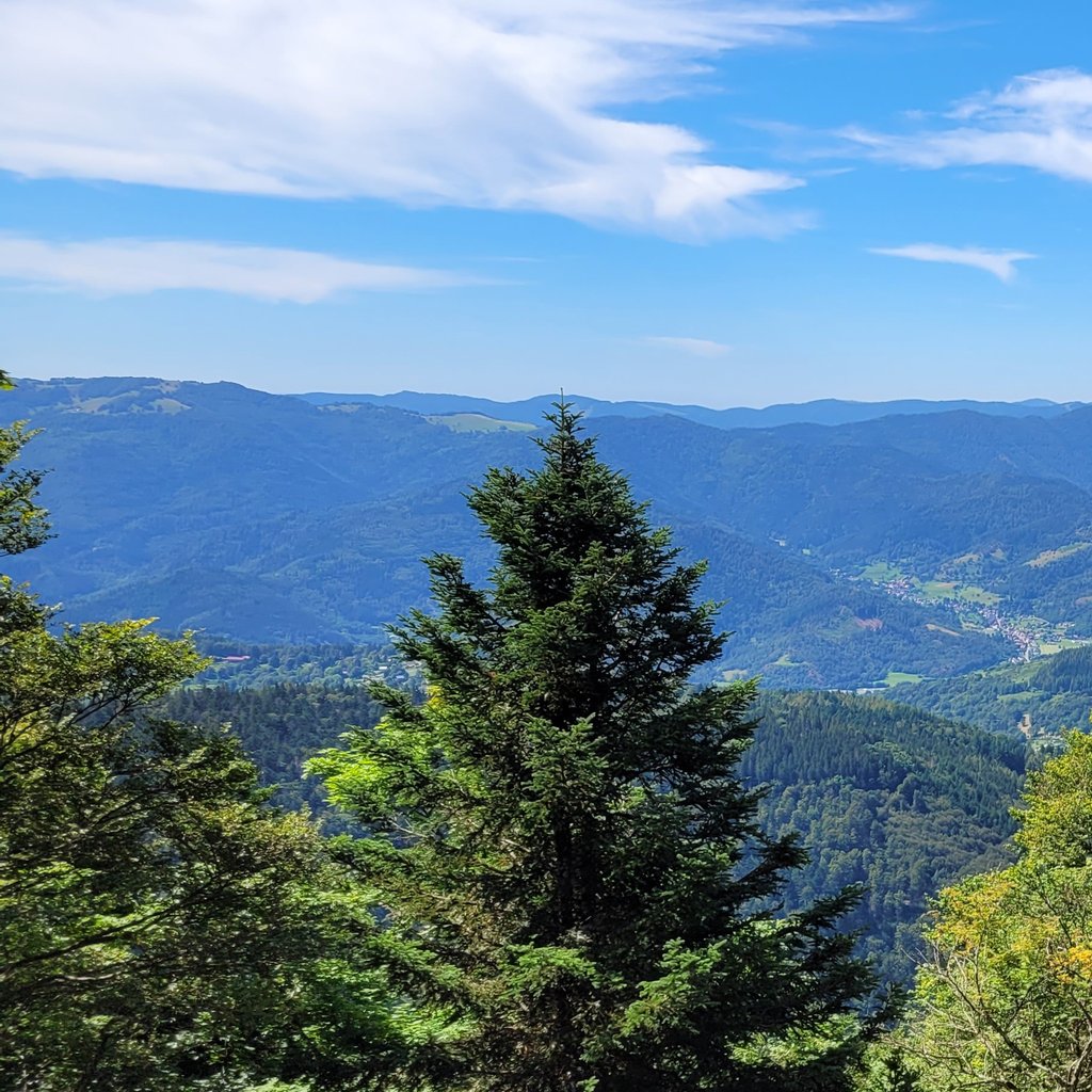La nature, l'environnement 
