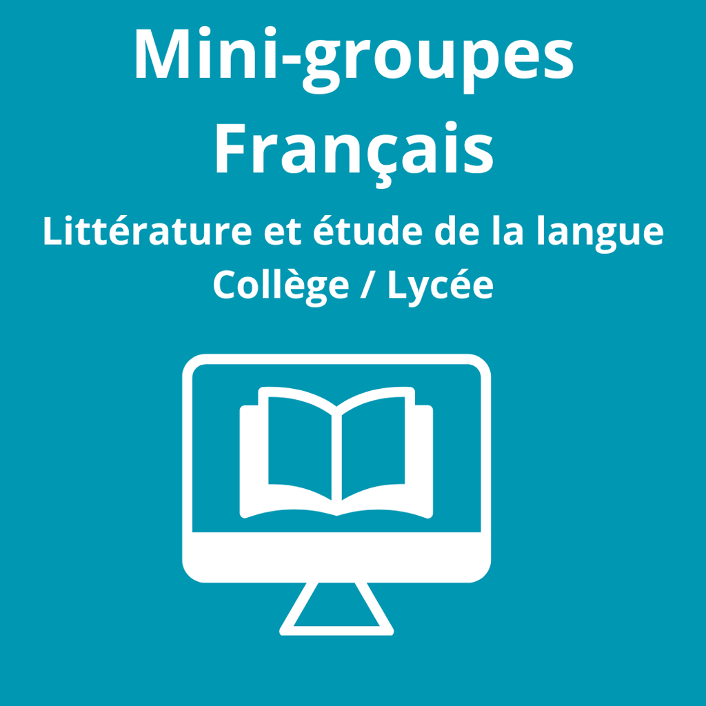 primaire, collége, lycée, soutien scolaire, tarbes, hautes pyrénées, visio , français, littérature