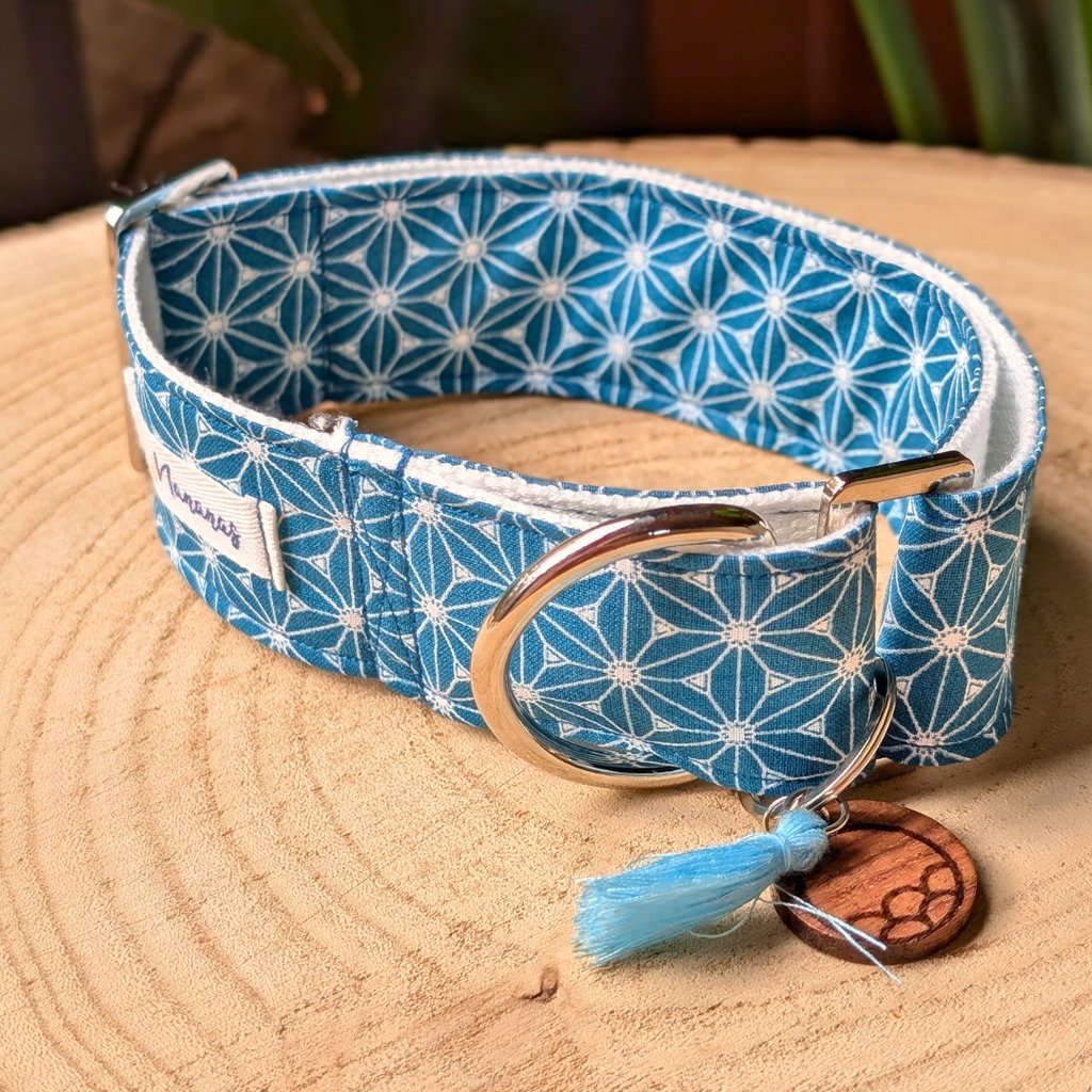 collier pour chien martingale